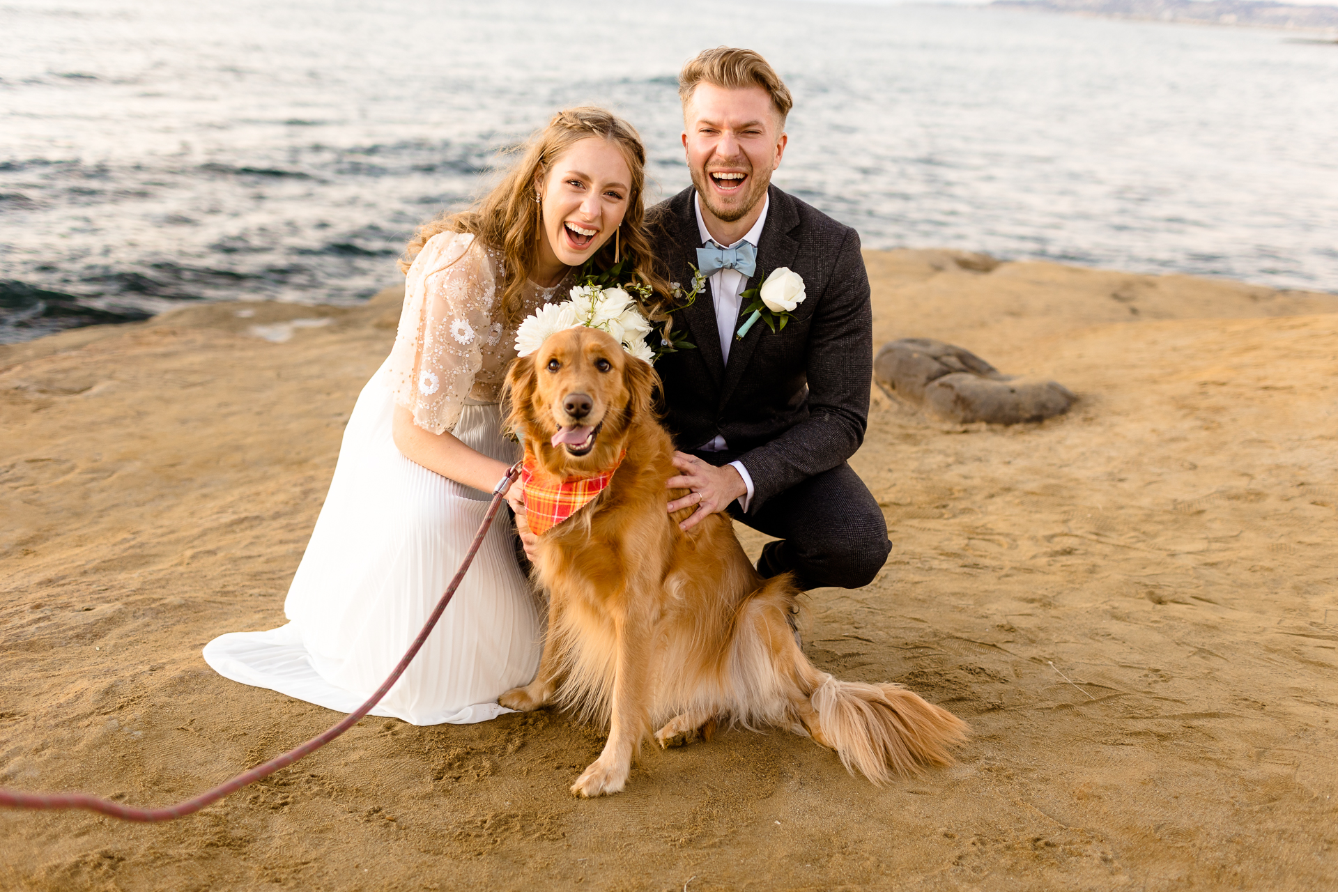 sunset cliffs, san diego wedding bride and groom portraits with their dog