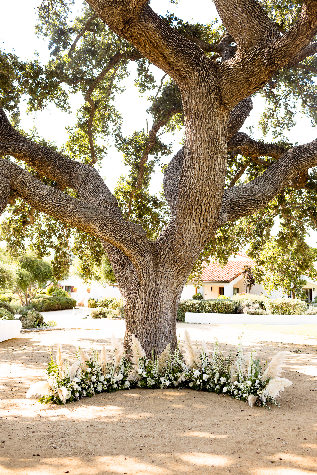 ojai valley inn oak tree wedding ceremony