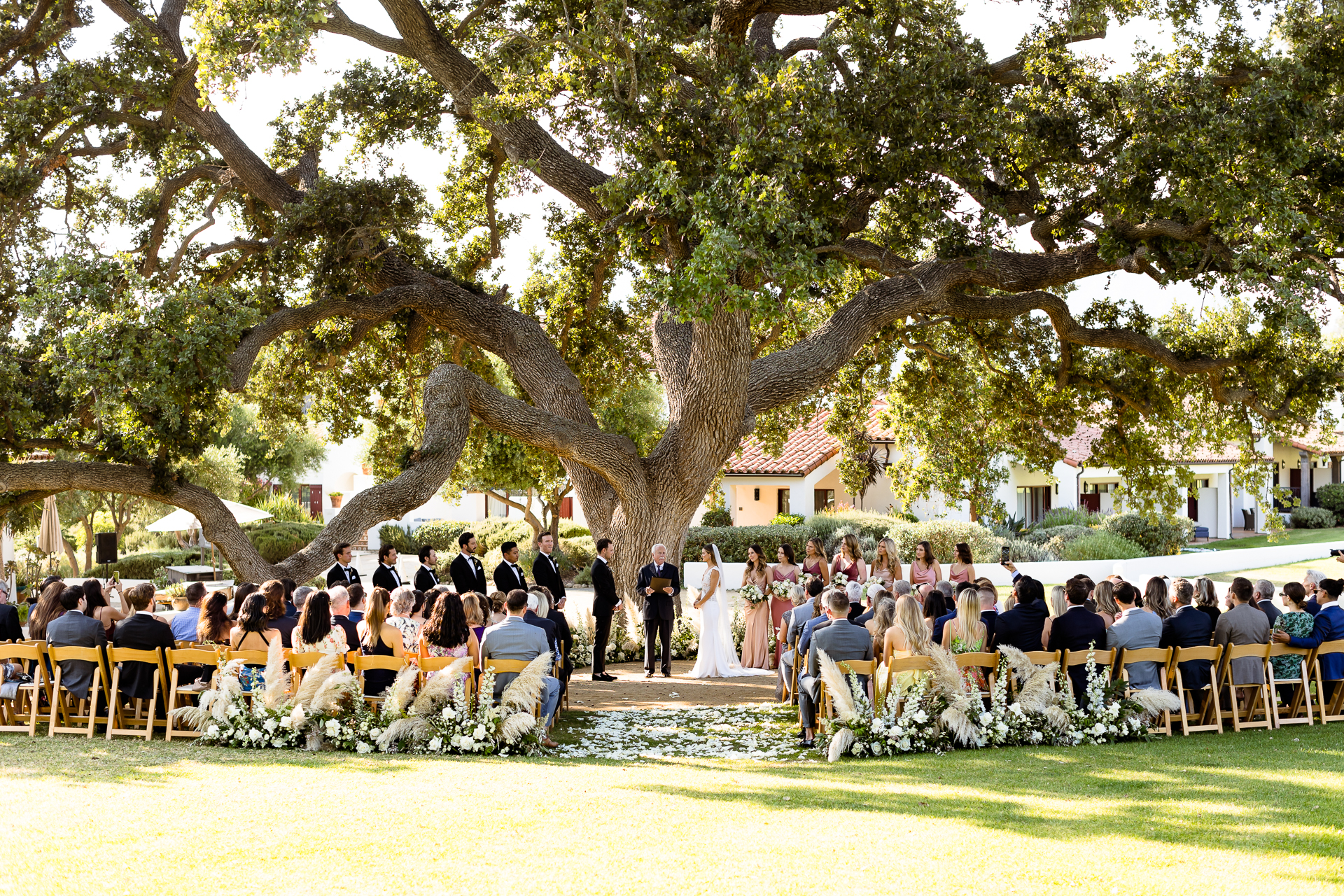 Ojai Vallen Inn wedding photos - oak tree wedding ceremony