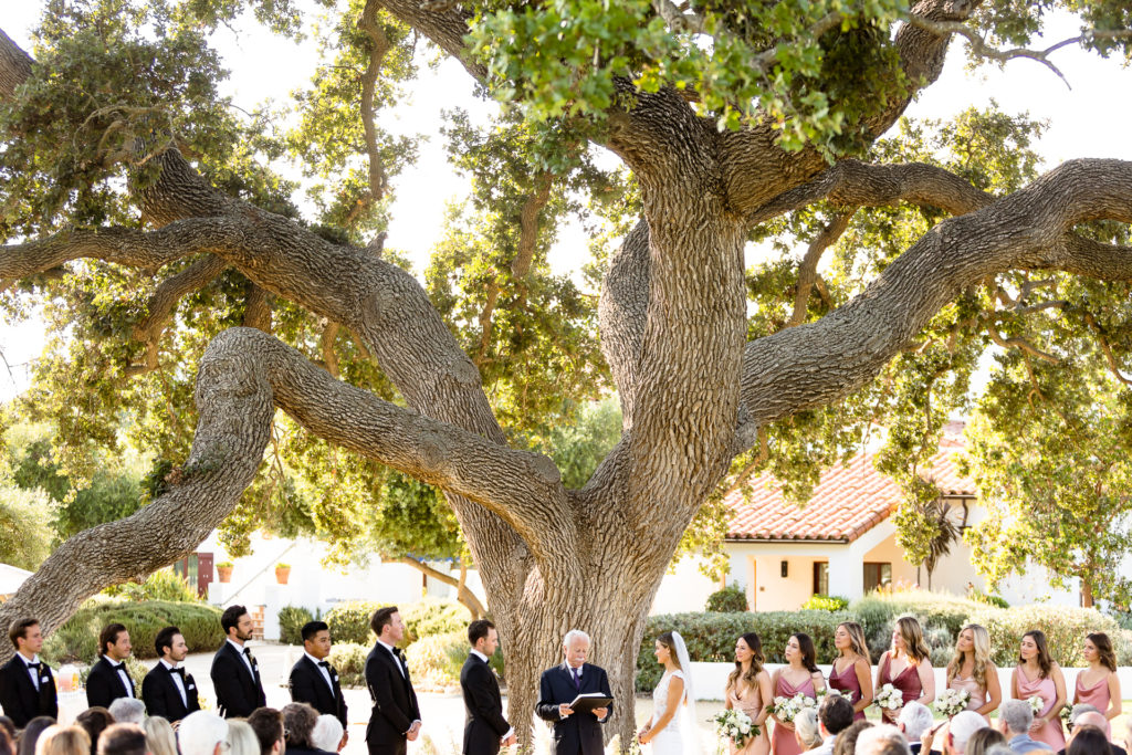 ojai valley inn oak tree wedding ceremony - oak tree wedding cermony
